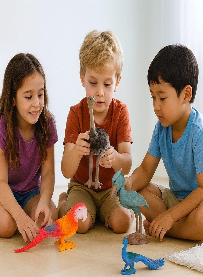 DTR Creation 4 Pcs Bird Figurine Set - Ostrich, Shoebill, Parrot & Peacock | Realistic Animal Bird Toys for Kids, Collectors & Home Décor | Durable Plastic Educational Toy Figures - Image 4